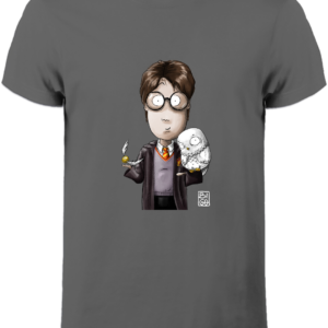 Boson Harry Potter