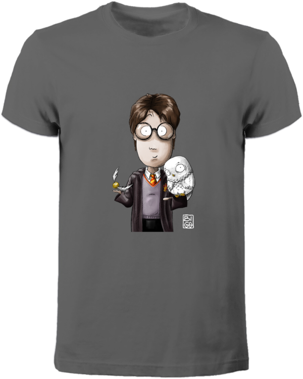 Boson Harry Potter